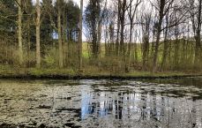 Hidden lake and reflections, Lincolnshire Wolds